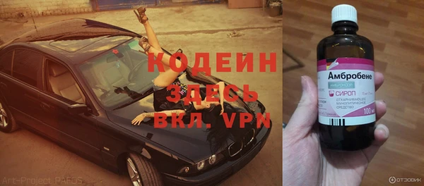 хмурый Богородск